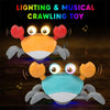 CrawlyFun Interactive Crab Toy for Kids ATHLEXES