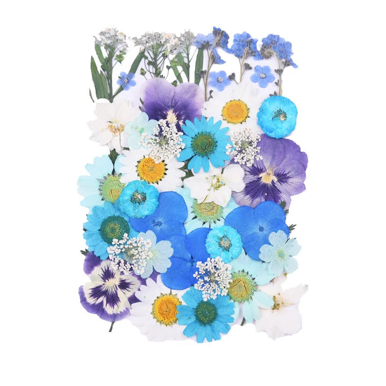 Pressed Floral Epoxy Kit for DIY Jewelry Crafts ATHLEXES