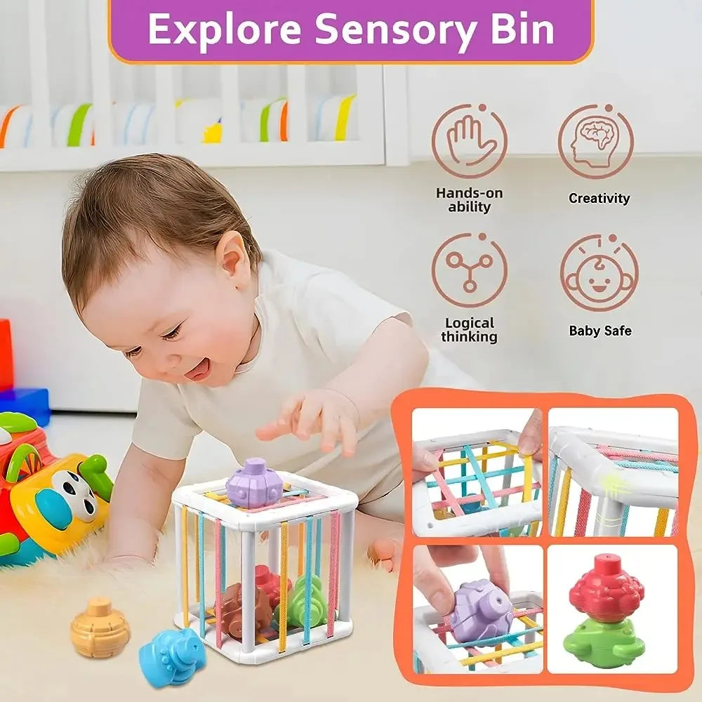 Montessori Shape Sorter Cube â?? Rainbow Blocks for Infants ATHLEXES