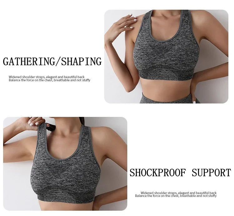 ActiveFit Seamless Sports Bra Top ATHLEXES