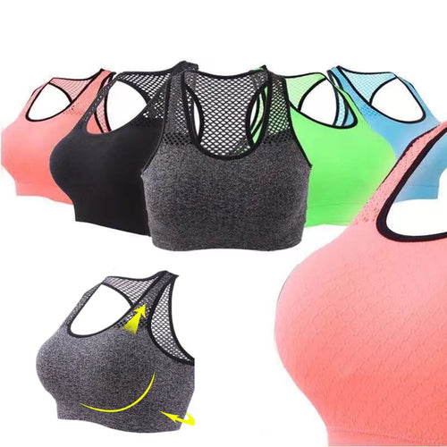  ATHLEXES