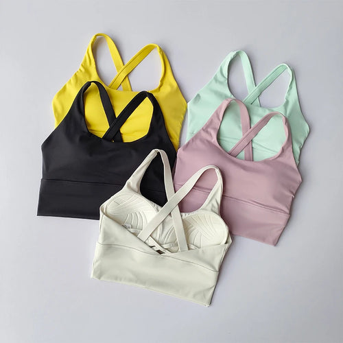  ATHLEXES