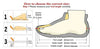 Premium Designer Sneakers for Men - High Quality Casual Shoes ATHLEXES