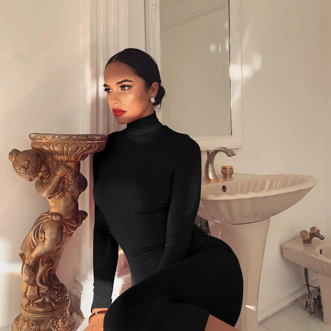 Elegant Slim Fit High Collar Winter Dress ATHLEXES