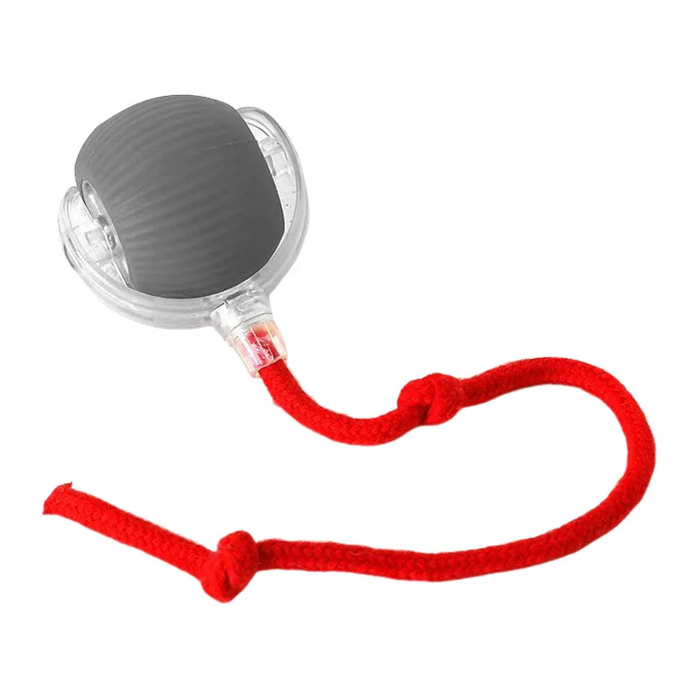 PlayFetch Automatic Ball Toys for Cats and Dogs ATHLEXES