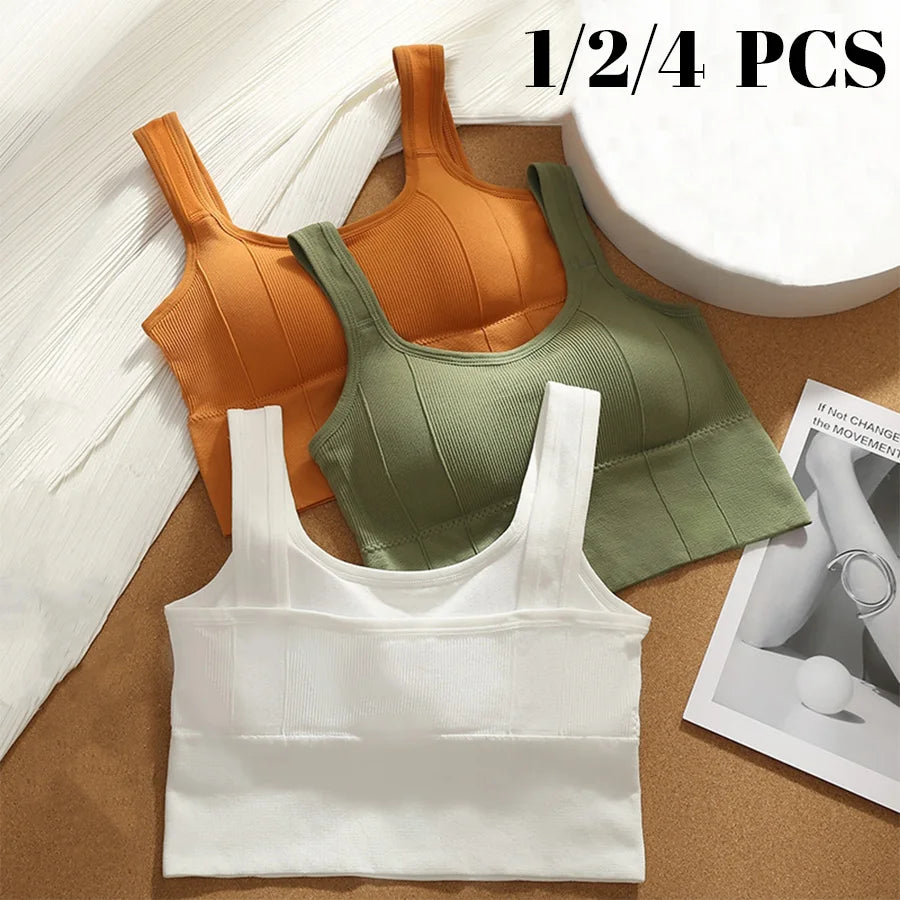 EssentialFit Seamless Sports Bra Collection ATHLEXES