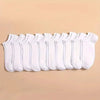 AllSeason Comfort Men's Mid-Calf Socks Pack ATHLEXES