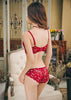 Women Lace Bras Set Low Waist Panties Underwire Top Big Size Bra ATHLEXES