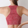 ActiveFit Seamless Sports Bra Top ATHLEXES