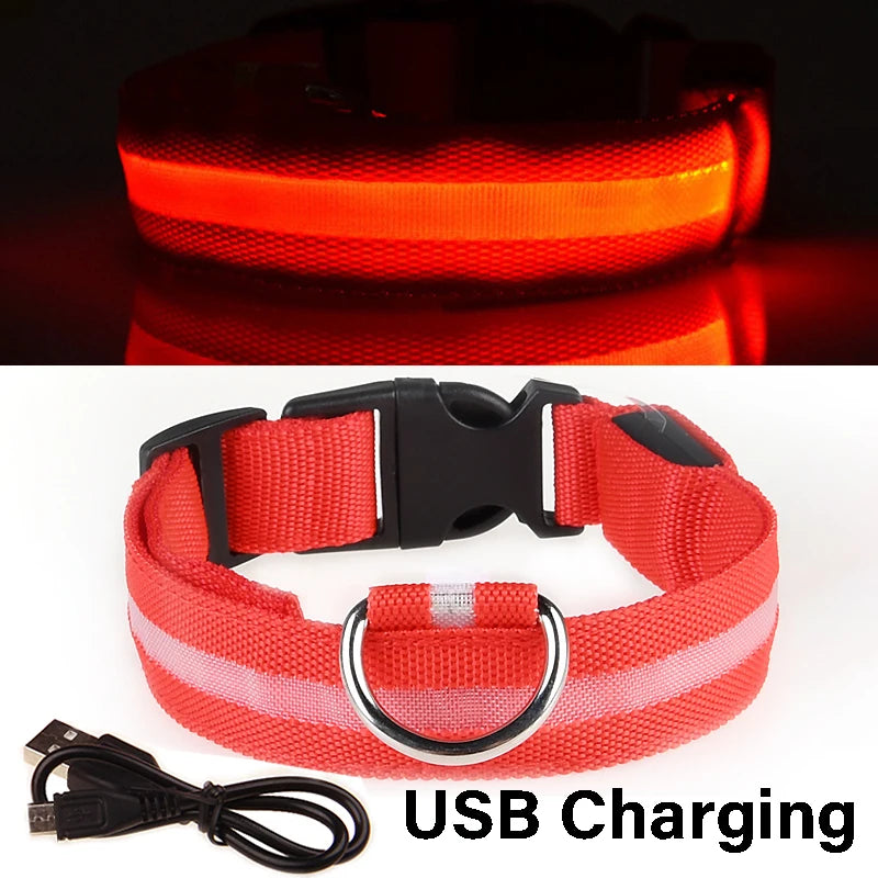 LED Glowing Dog Collar ATHLEXES