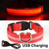 LED Glowing Dog Collar ATHLEXES