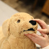 Lifelike Plush Labrador Dog Toy for Kids ATHLEXES