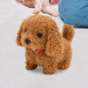Interactive Plush Bunny Toy with Sound and Movement ATHLEXES