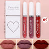 Sexy Velvet Matte Lip Gloss ATHLEXES