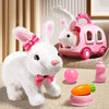 CuddleHop Interactive Dancing Rabbit Toy ATHLEXES