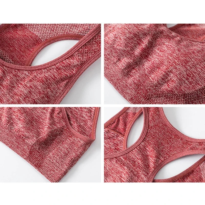 ActiveFit Seamless Sports Bra Top ATHLEXES