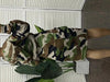 Plaid Hoodie Dress with Drawstring Detail ATHLEXES
