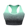 ElevateFit Seamless Sports Bra ATHLEXES