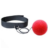 Reflex Pro Boxing Magic Ball Training Set ATHLEXES