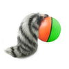 PlayFetch Automatic Ball Toys for Cats and Dogs ATHLEXES