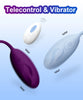 G-Spot Bliss Remote Control Love Egg Vibrator ATHLEXES
