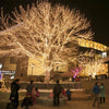 10M 100 LED Christmas Fairy String Lights Decor ATHLEXES