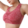 ActiveFit Seamless Sports Bra Top ATHLEXES