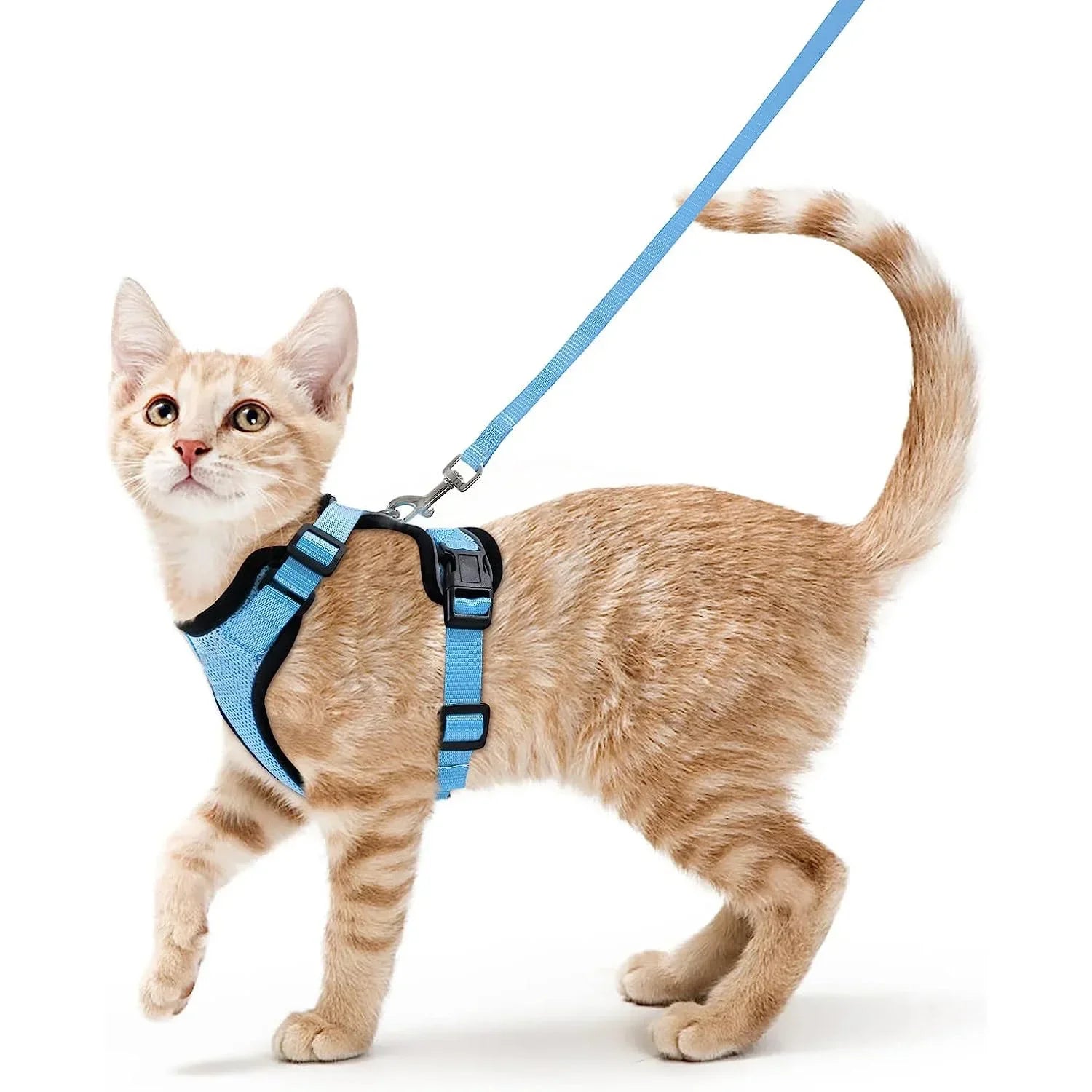 Cat Harness Lead Leash Set Walking Training Escape Proof Adjustable Reflective Pet Vest Harness Kitten Collar Pet Supplies ATHLEXES