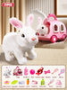 CuddleHop Interactive Dancing Rabbit Toy ATHLEXES