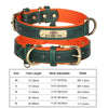 Customized Soft Padded Leather Dog Collar with ID Tag ATHLEXES