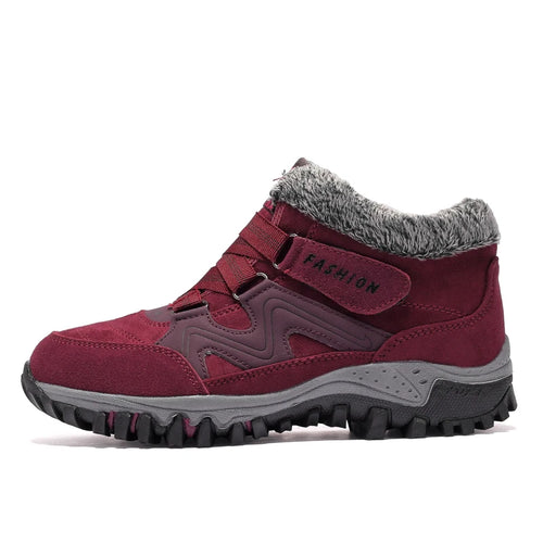  ATHLEXES