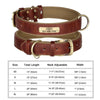 Customized Soft Padded Leather Dog Collar with ID Tag ATHLEXES