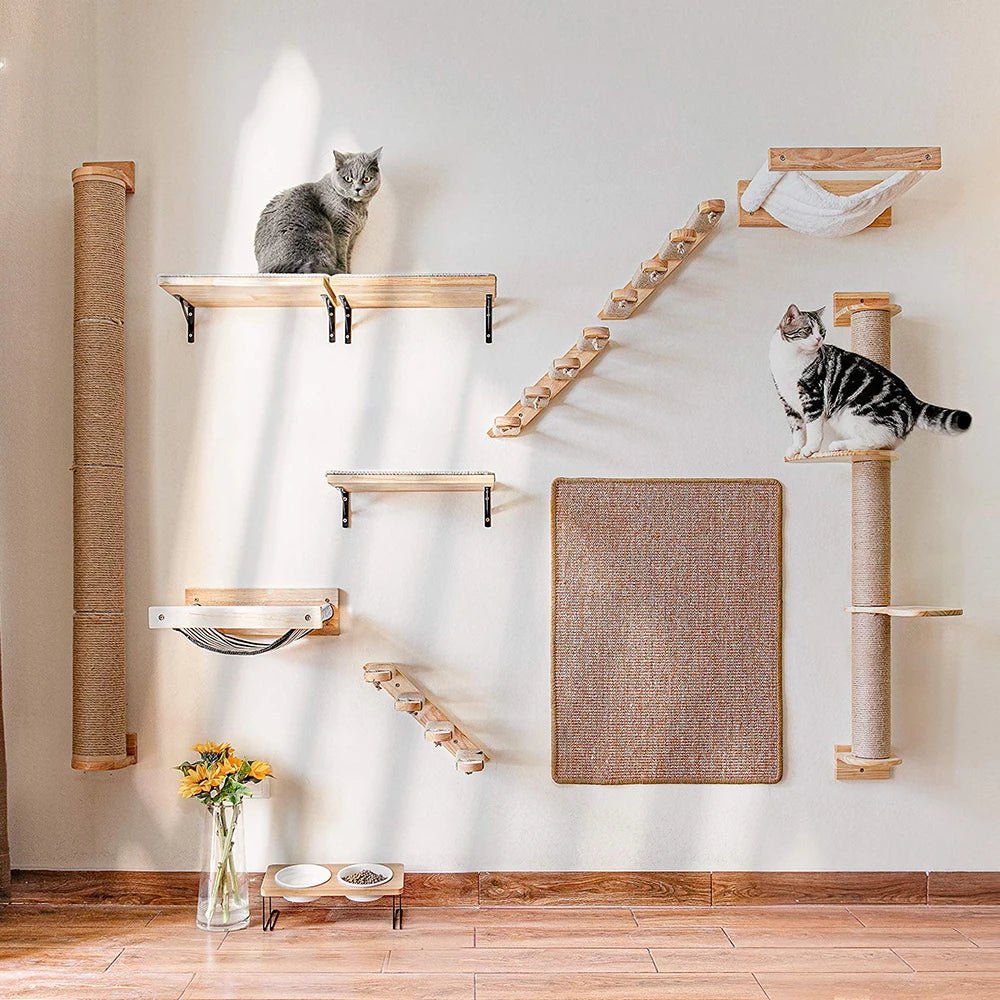 Wall-Mounted Cat Climbing Shelf ATHLEXES