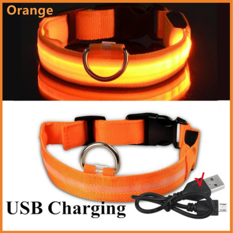 USB Charging LED Dog Collar ATHLEXES