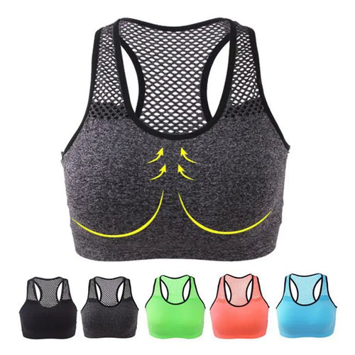  ATHLEXES
