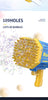 Flashing Bubble Fun Electric Bubble Gun ATHLEXES