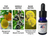 AttractEssence Men's Pheromone Fragrance Oil ATHLEXES
