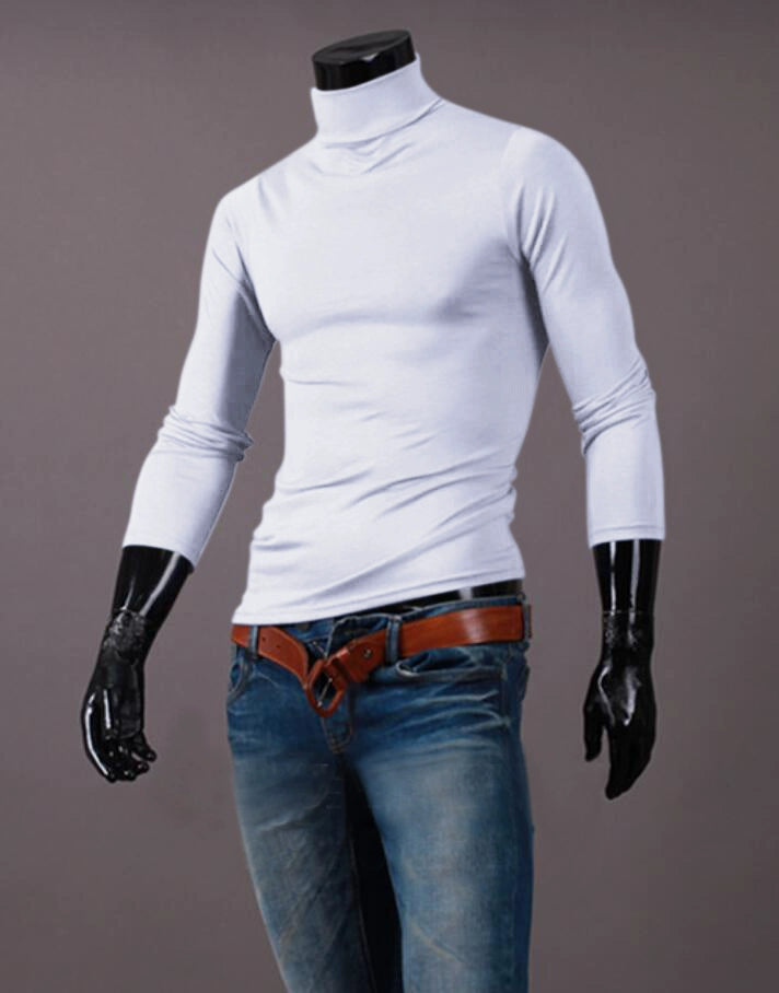 Sleek Casual Basic Turtleneck ATHLEXES
