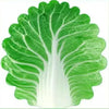 Baby Cabbage Blanket for Cozy Comfort ATHLEXES